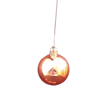 024d8a38-2be7-4546-9911-d3c0f2d09be0-removebg-preview