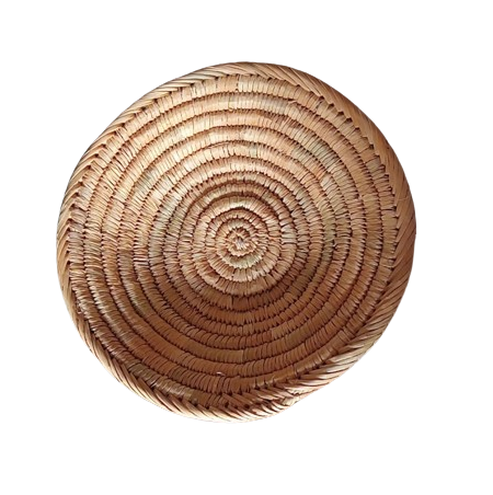 WhatsApp_Image_2024-04-01_at_11.00.00_AM-removebg-preview