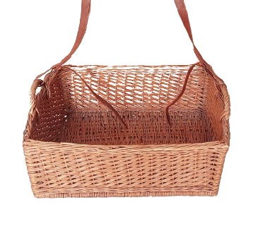 WhatsApp_Image_2024-04-01_at_5.27.32_PM__1_-removebg-preview