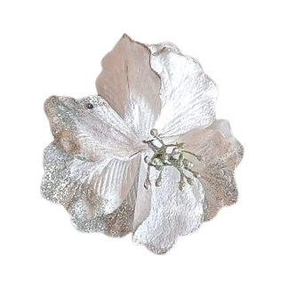 WhatsApp_Image_2024-04-18_at_12.22.17-removebg-preview