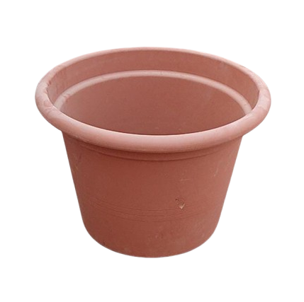 WhatsApp_Image_2025-02-21_at_16.02.23-removebg-preview